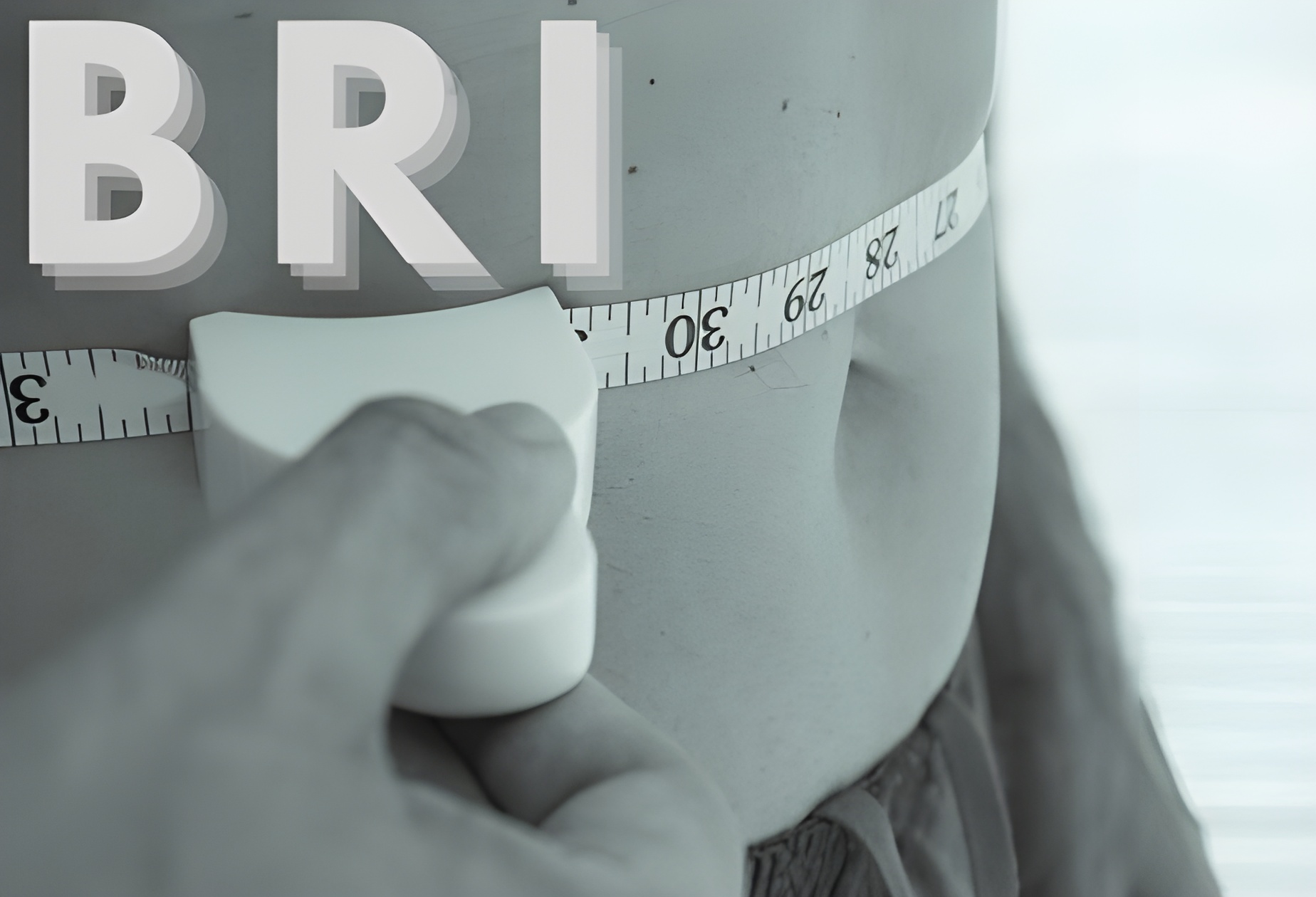 Body Roundness Index BRI Calculator: A Smarter Way to Understand Body ...